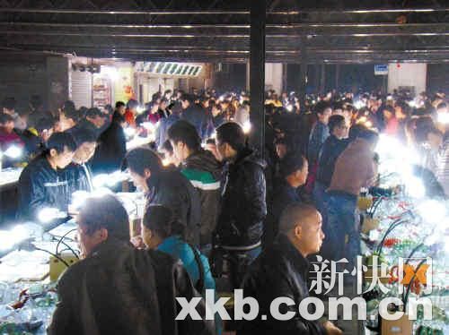 天光墟800多个玉器摊位,货品种类五花八门,一应俱全。
