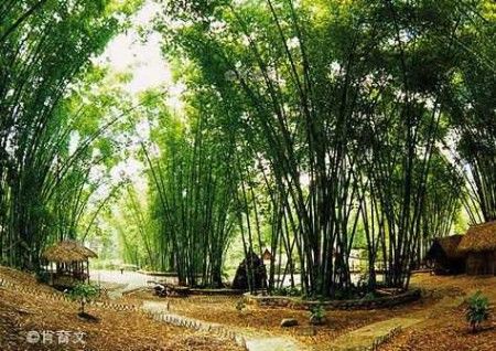 云南盈江如诗如画的美景 云南盈江如诗如画的美景