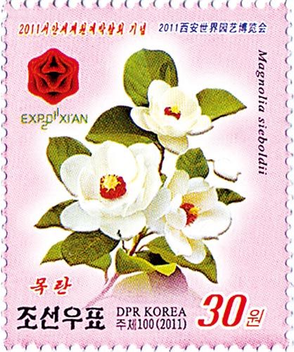 图一