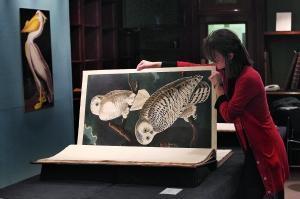 19世纪大型画册《美国鸟》7日在伦敦苏富比拍卖行以730万英镑天价拍出。图片来源：信息时报