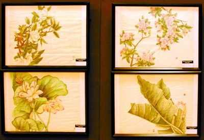 贝宁学员作品