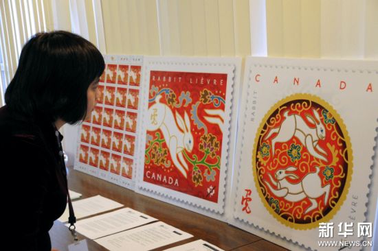 一名温哥华观众在欣赏加拿大2011年兔年生肖邮票样本