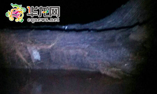 深夜中，疑似乌木的物体完全露出水面，陈昌远称其足有20米长。 图片为陈昌远用手机拍摄 