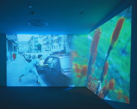 Pipilotti Rist： Ever is Over 