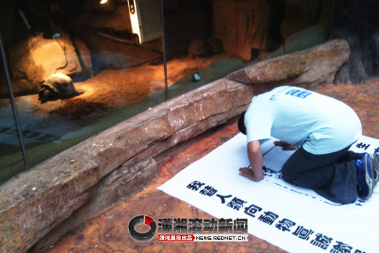 11月6日，贵州的画家洪先生在长沙生态动物园内表演行为艺术，以下跪的方式倡导保护动物