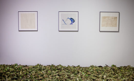 乔治•杰生影像展
