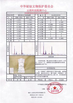 科检报告。