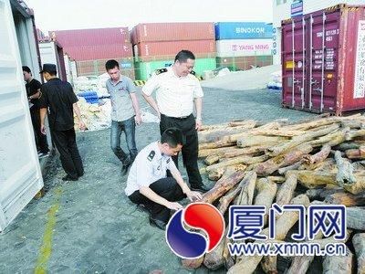 海关人员查获了走私的檀香紫檀。（厦门海关供图）