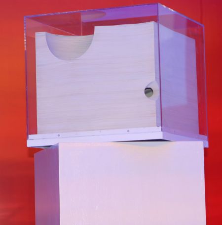 李红军作品