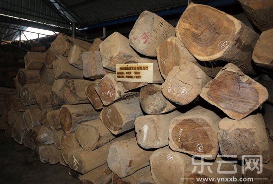国内的红木家具生产车间。CFP供图