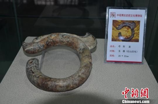 图为展出的红山文化时期的玉器C形龙。 陈征帆 摄