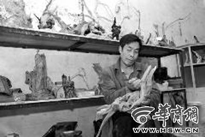 9月12日，李金仓用枯树根制作根雕 华商报记者 汤继颖 摄 
