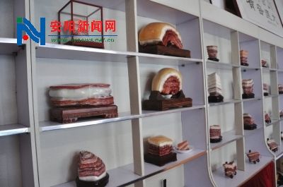 安阳一男子办猪肉石展
