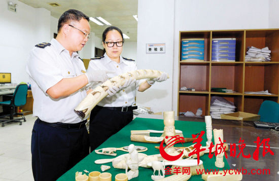 广东检验检疫部门从邮件中查获走私象牙
