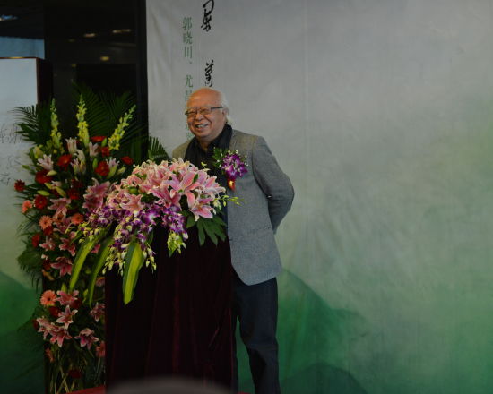 清华美术学院教授杜大恺在开幕式上讲话