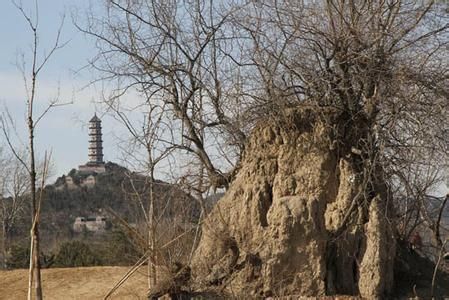 静宜园(香山)
