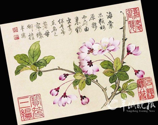 钱维城《花卉图册》