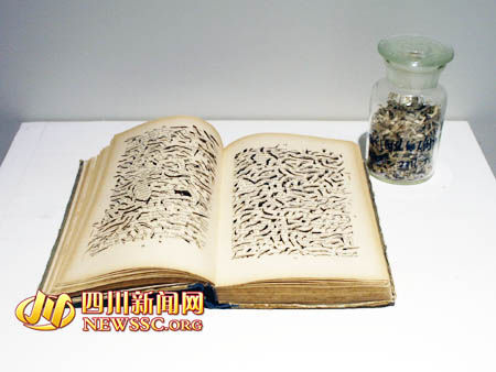成都八零后艺术家亮出自己的作品
