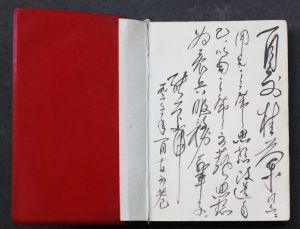 红色收藏展展品