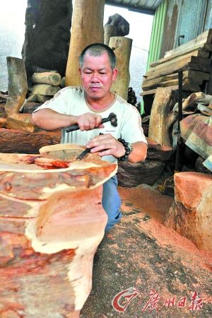 莞香木材收藏人卢柏恩在制作木雕。记者 海国 摄
