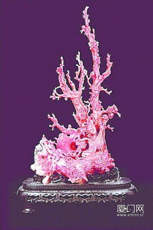 红珊瑚具备收藏、观赏价值，还具有保健功能。