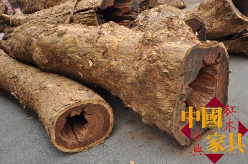 微凹黄檀