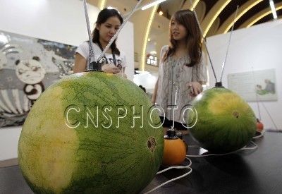 上海艺术博览会国际当代艺术展现场