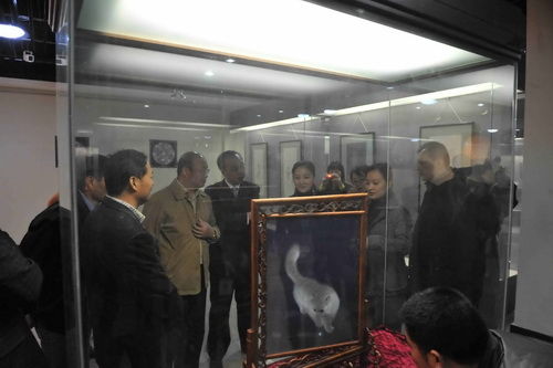 “锦心神针??苏绣与仿真绣精品文物展”现场