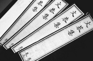 中国最大的一份木活字本《文恭集》，宋代胡宿撰，韦力收藏的是乾隆武英殿聚珍版。