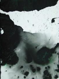 海上花 134 丙烯 50x40cm2011