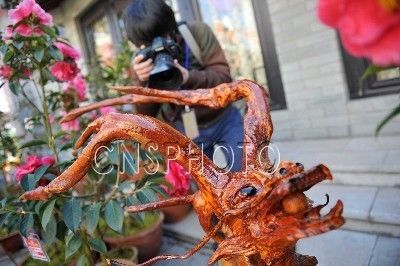 国际茶花大会的龙根雕