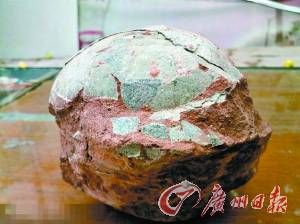 恐龙蛋化石随处可见