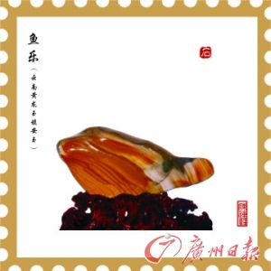 奇石鱼乐