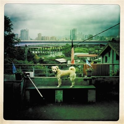 保留着台北几代人居住记忆的宝藏岩。图/CFP