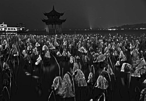 《沉醉-夜西湖》2010首届杭州大学生旅游节 “爱上杭州”摄影大赛一等奖 作者章晓蓉。
