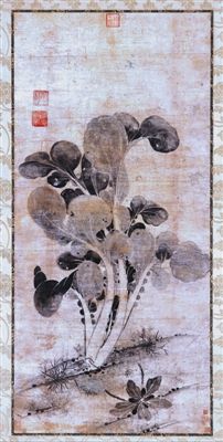 宋代高怀宝《白菜图》