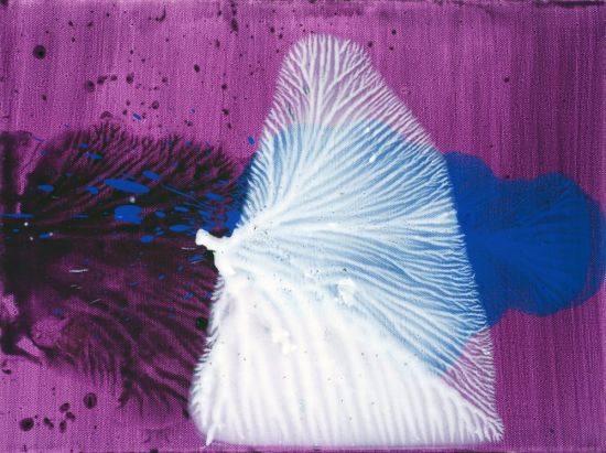无题，30x40cm，布面油彩，2013