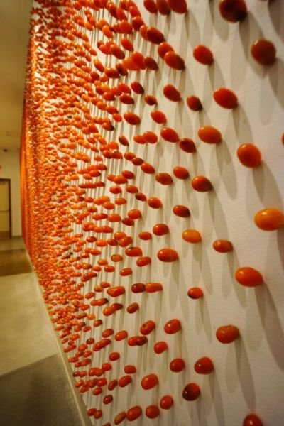 视而不见，2015，顾雄 装置，西红柿和大头针，12 x 9 m，场地特创作品