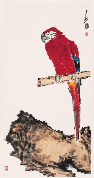 金刚鹦鹉68cm136cm2011年