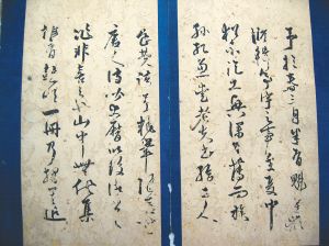 明代嘉靖进士颜廷榘书供奉魁星册页