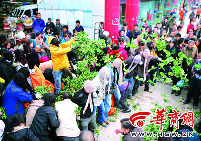 昨日，在纺织城鹿塬菜市场，艺术家们头上套上丝袜，向围观的人抛撒菠菜。表演者说：“头套丝袜，代表见不了光的一些人和单位；蔬菜被装进袋子里，想说明这是一些‘死亡蔬菜’。这是对一些昧着良心，带来食品安全问题