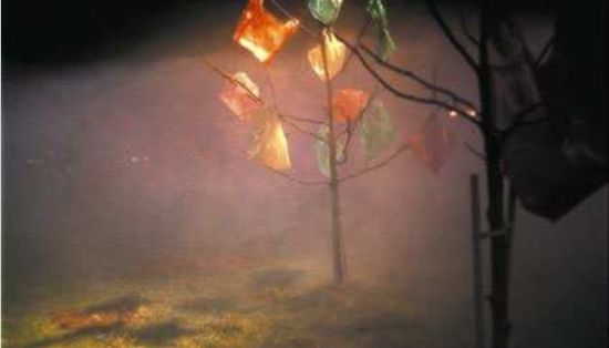 参展作品：信用…（2000）菲利普•帕雷诺