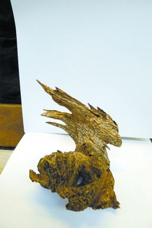 沉香木不是沉香