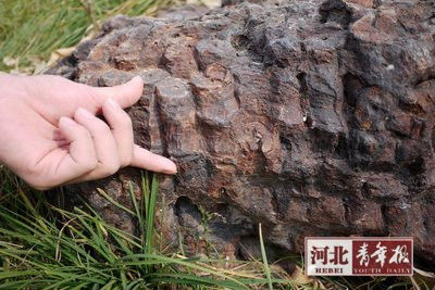 大量铁钱因锈蚀粘连在一起，但能看出当初是有规则摆放的。