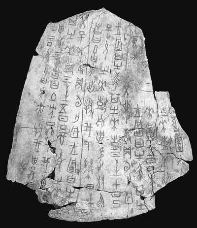 图片资料