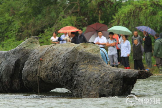 (图片来源：CFP)