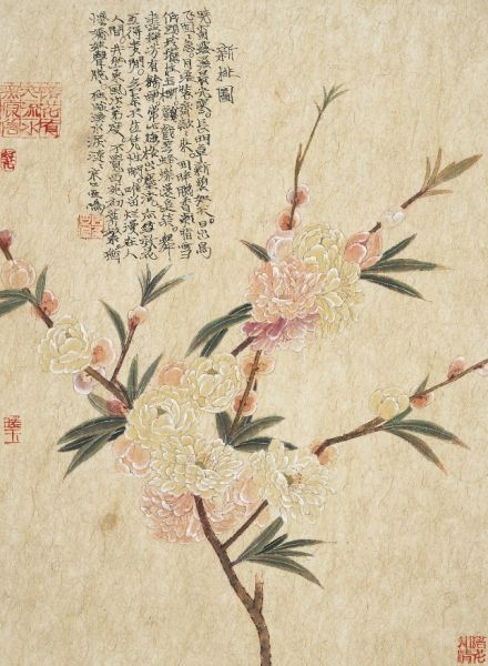 新桃图