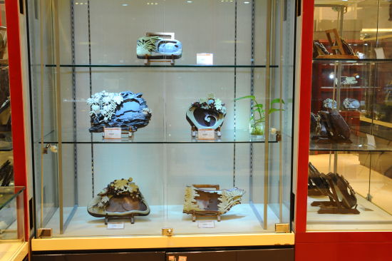 展览现场