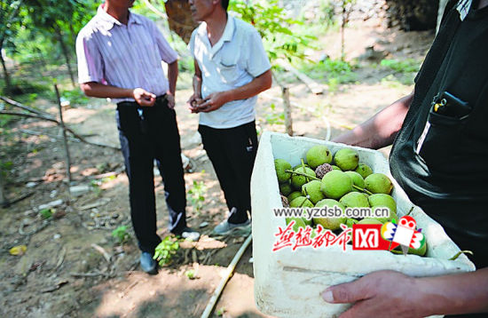 村民喜欢与相熟客人进行交易　