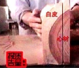 图片资料